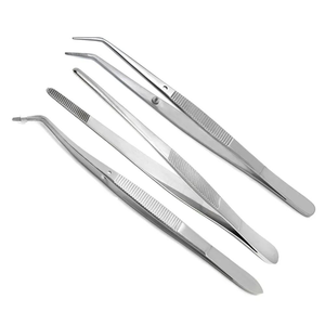 Galvanized Paper Clips2374