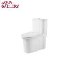 Bathroom Flush Toilet Units2331