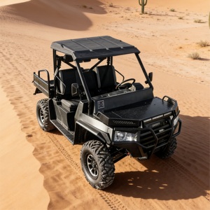 Electric UTVs12195