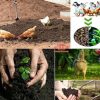 Organic Fertilizer Machines22622