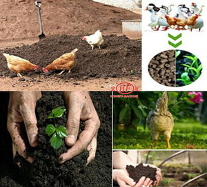 Organic Fertilizer Machines22622