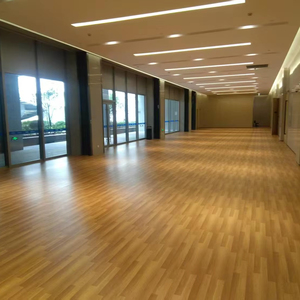 Sports Floors & Running Tracks9543