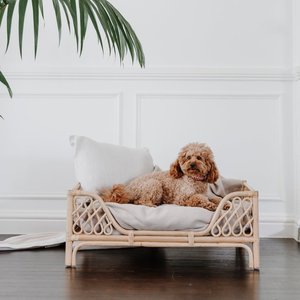 Pet Beds & Houses2433