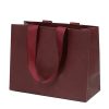 Shopping Tote Bags12699