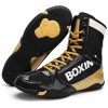 Wrestling Shoes1537