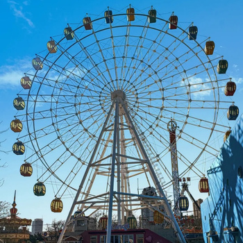 Ferris Wheel89360
