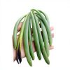 Cowpea82346