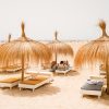 Garden Parasols & Base Stands15563