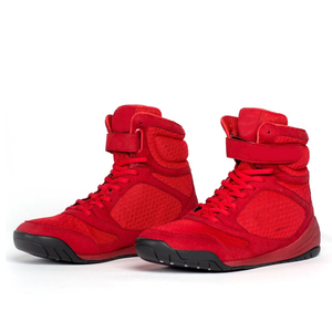 Boxing Shoes1543