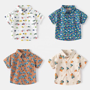 Boys Clothing Sets4860