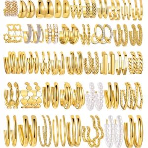 Fashion Hoop Earrings79884