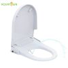 Integrated Smart Toilets2347