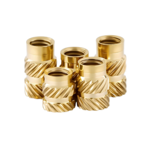 Areca Nuts78501