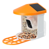 Bird Feeder Camera79024