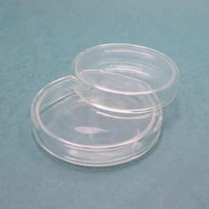Covered Petri Dish78017