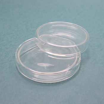 Covered Petri Dish78017