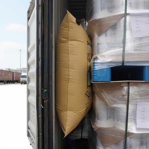 Container Inflatable Air Bags1584