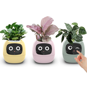 Smart Flower Pot16105