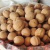 Walnuts81470
