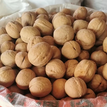 Walnuts81470