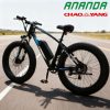 Electric bicycle Factory Code 11325