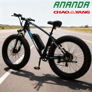 Electric bicycle Factory Code 11325