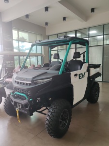 Electric UTVs652