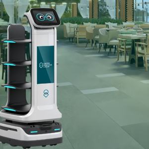 Delivery Robots17869