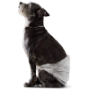 Pet Diapers1306