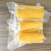Sorghum81438