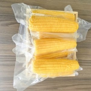 Sorghum81438