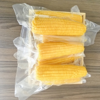 Sorghum81438
