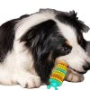 Other Pet Toys5261