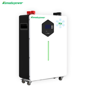 Sodium-ion Storage Batteries10177