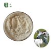 Animal Extract Raw Material80472