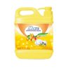Dishwashing Liquid59622