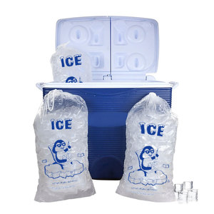 Reusable Gel Ice Packs2308