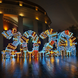 New Year Festival Lights1644