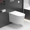 Integrated Smart Toilets12924