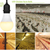 LED Poultry Lights510