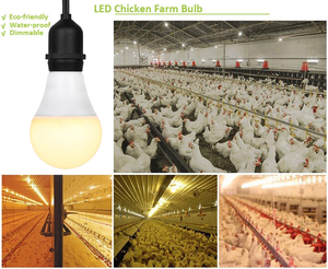 LED Poultry Lights510