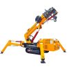 Spider Cranes4691