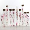 Sample Test Tube78014