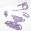 Pet Leash Straps14694