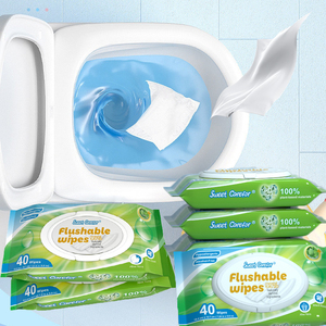 Flushable Wet Toilet Wipes14506