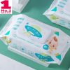 Cleaning Wet Wipes83855