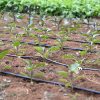 Farm Irrigation System80557