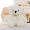 Mascot Costume81255