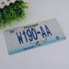 Vehicle License Plates9482