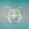 Explosion Proof Lights14751